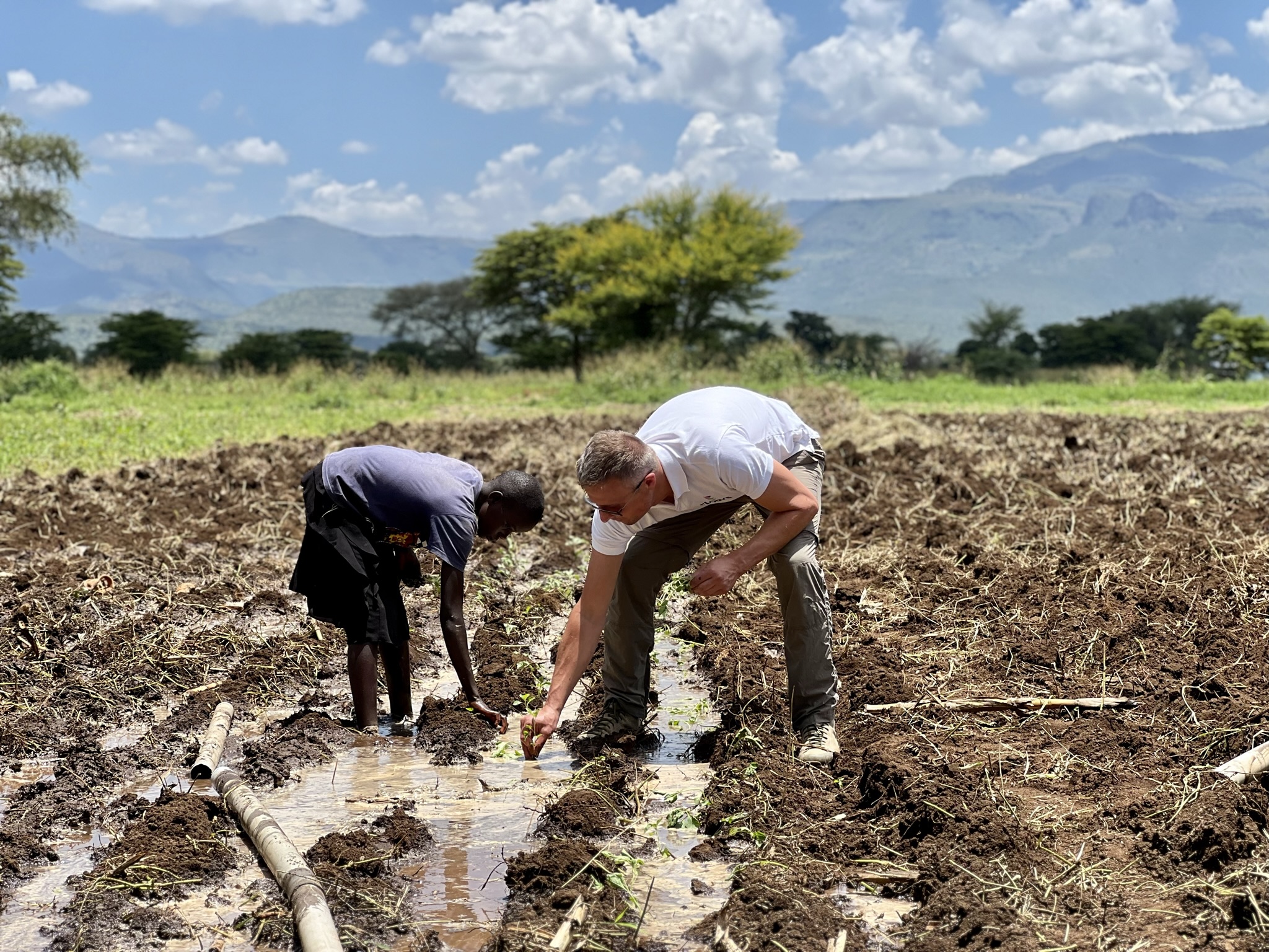 Two men kneeling and planting in a muddy field with PVC pipes, mountains in the background.
